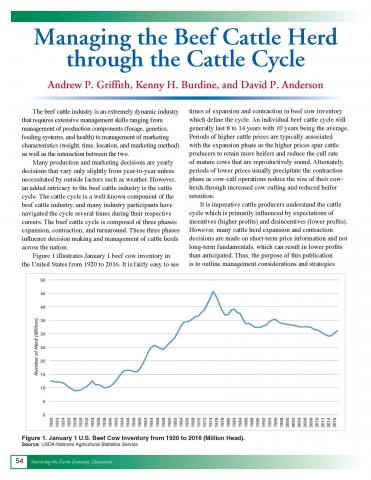 Managing the beef cattle herd through the cattle cycle