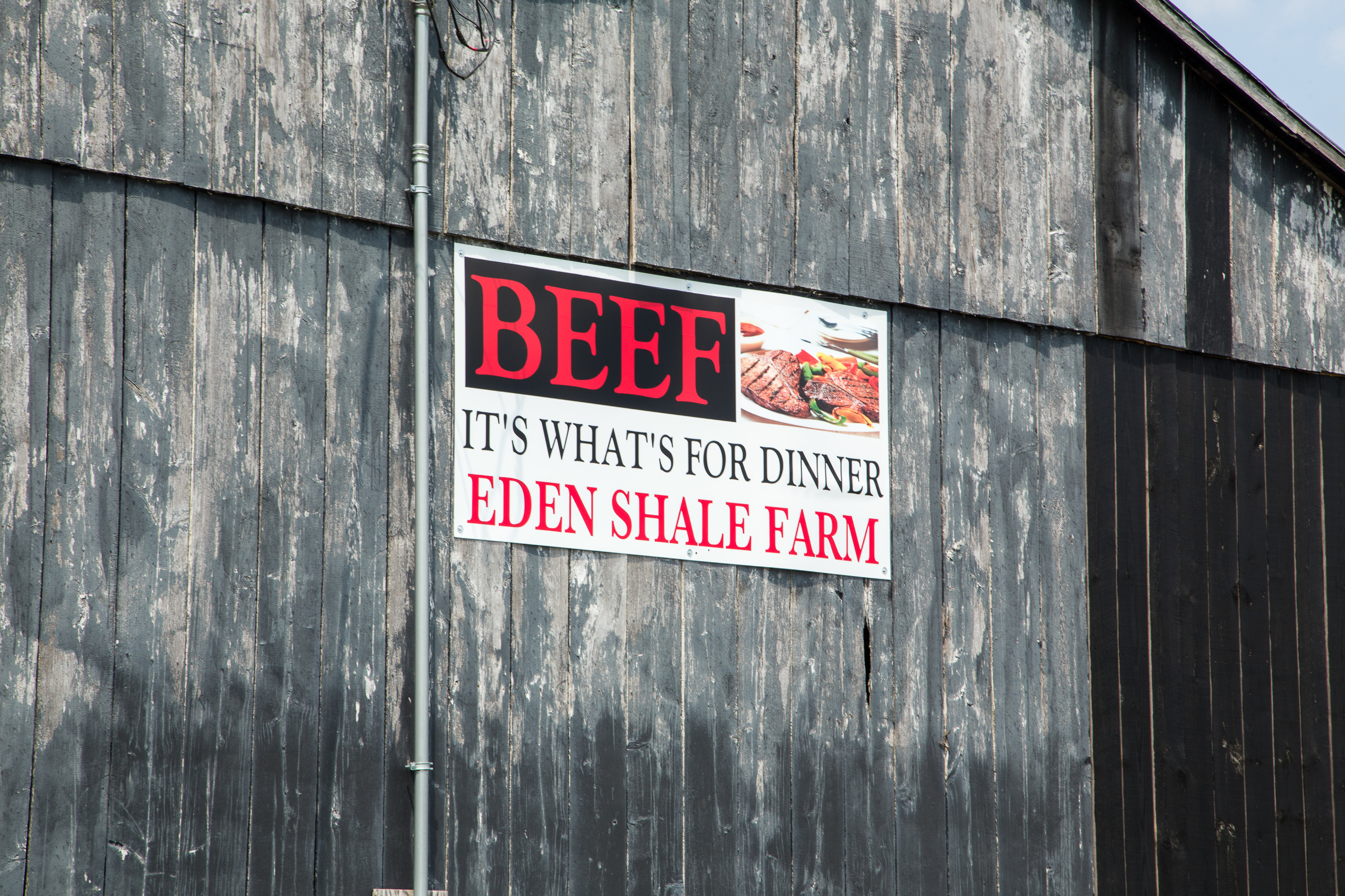 Eden Shell Sign on Barn