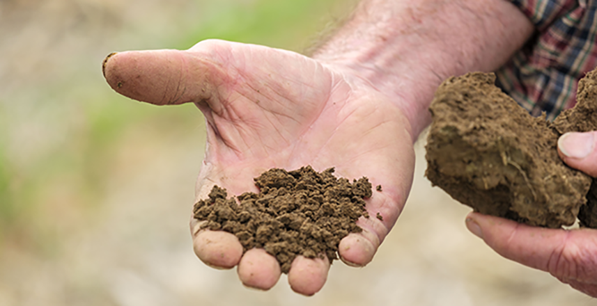 soil in a man's hand