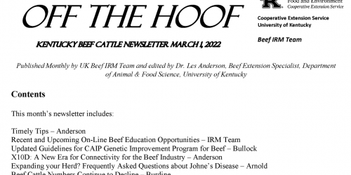 Off the hoof newsletter